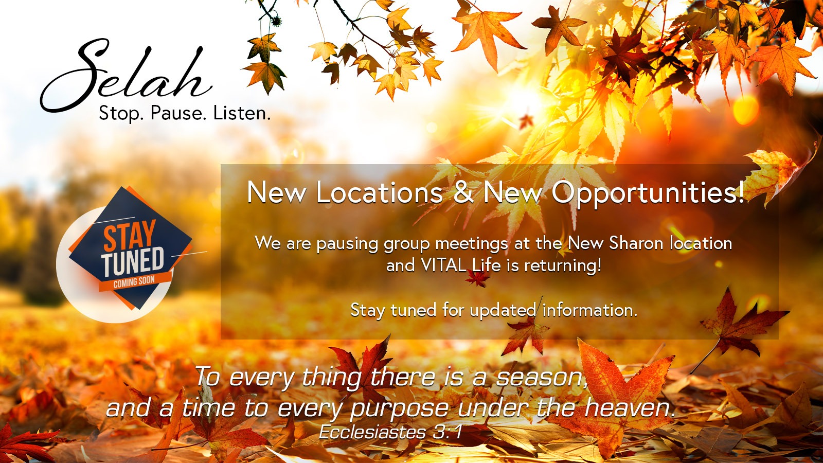 VITAL Ministries Fall Updates VITAL Ministries Fall Updates