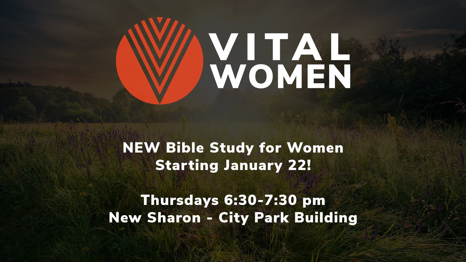 VITAL Women Bible Study